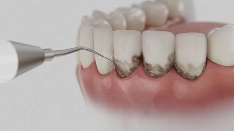 Reliable Dental contractor in Cumberland Center, ME by Dentist Open Now